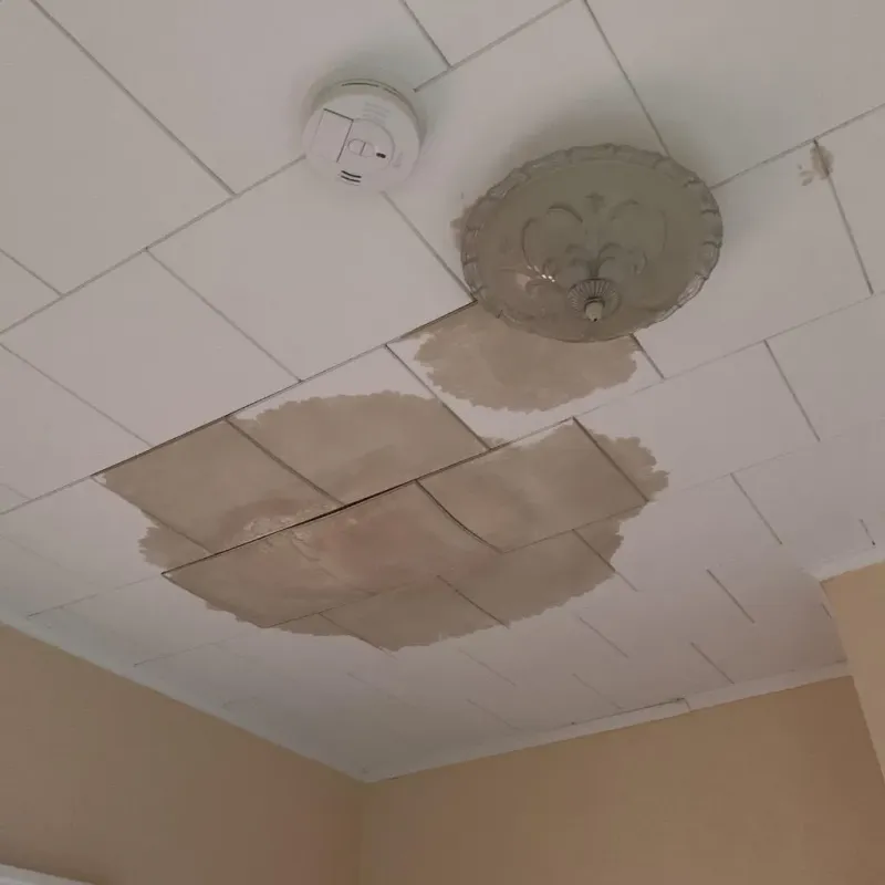 Ceiling Water Damage Repair in Morehouse Parish, LA